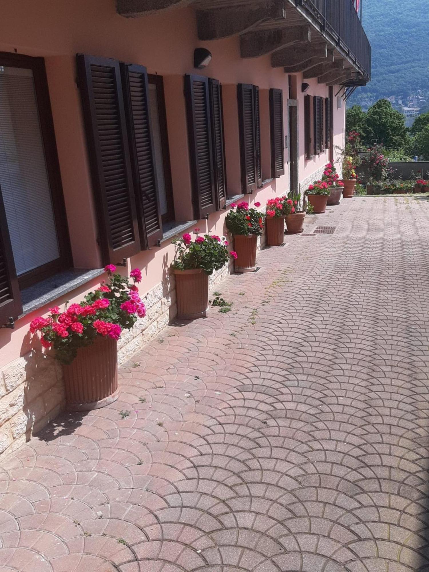 Le Rose Sul Lago Pescate Bagian luar foto